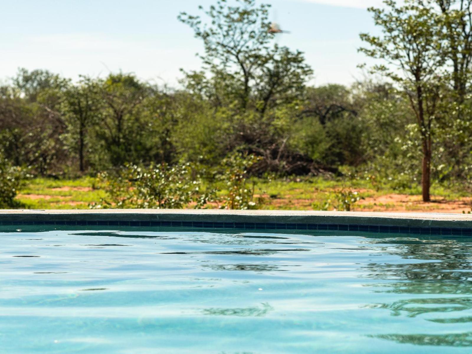 Kifaru Bush Camp Hotel Outjo Exterior photo